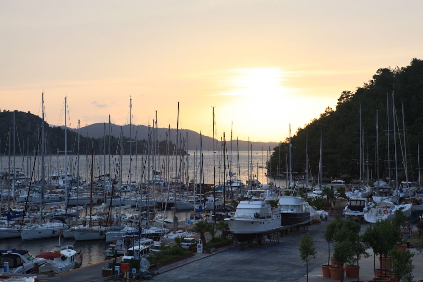 Marti Marina