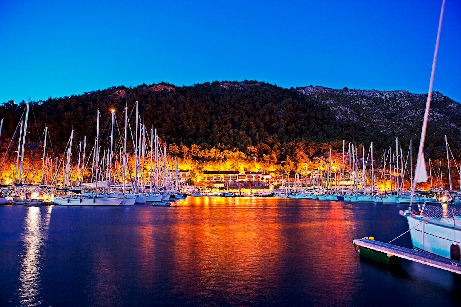 Marti Marina