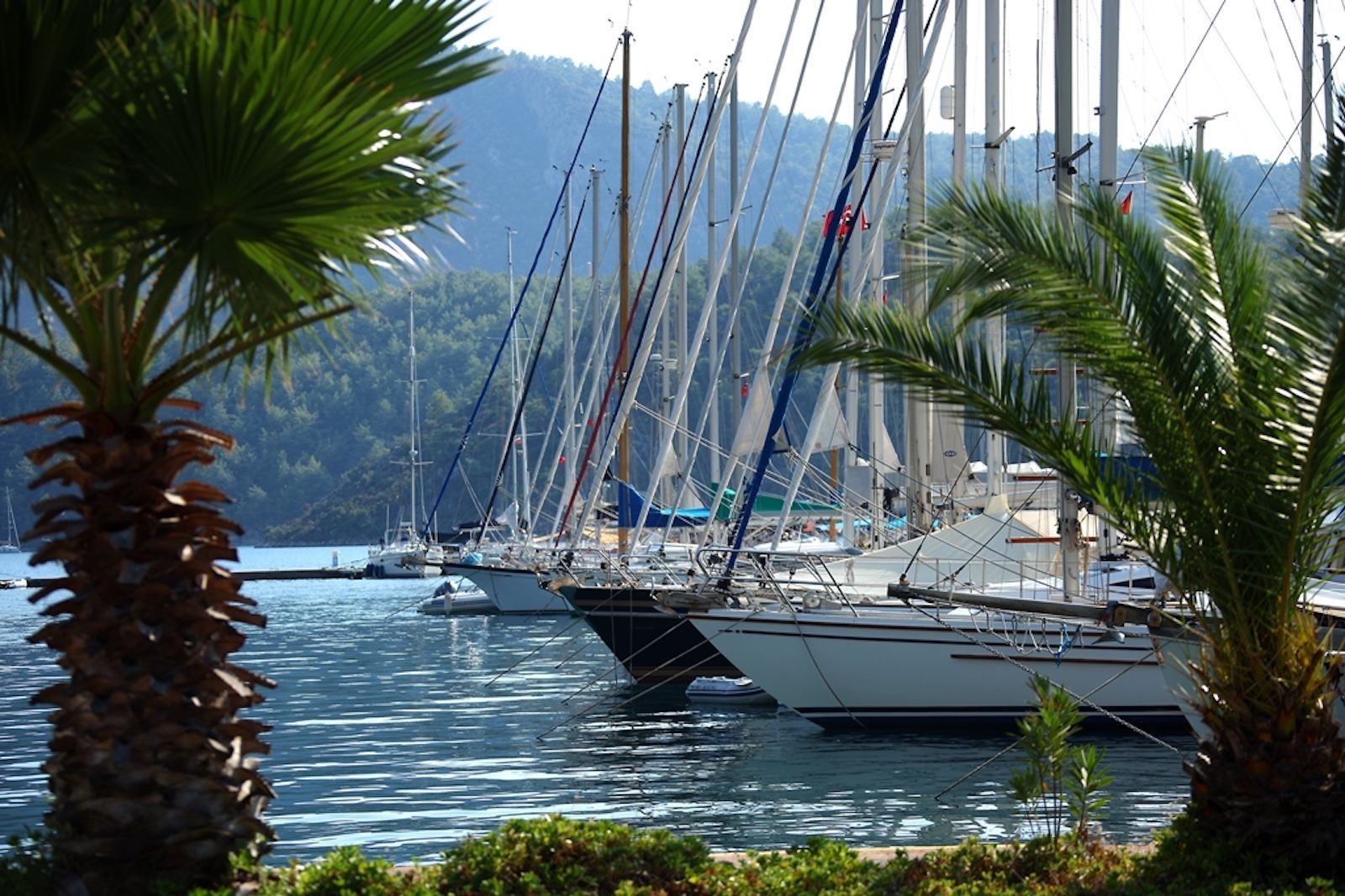 Marti Marina