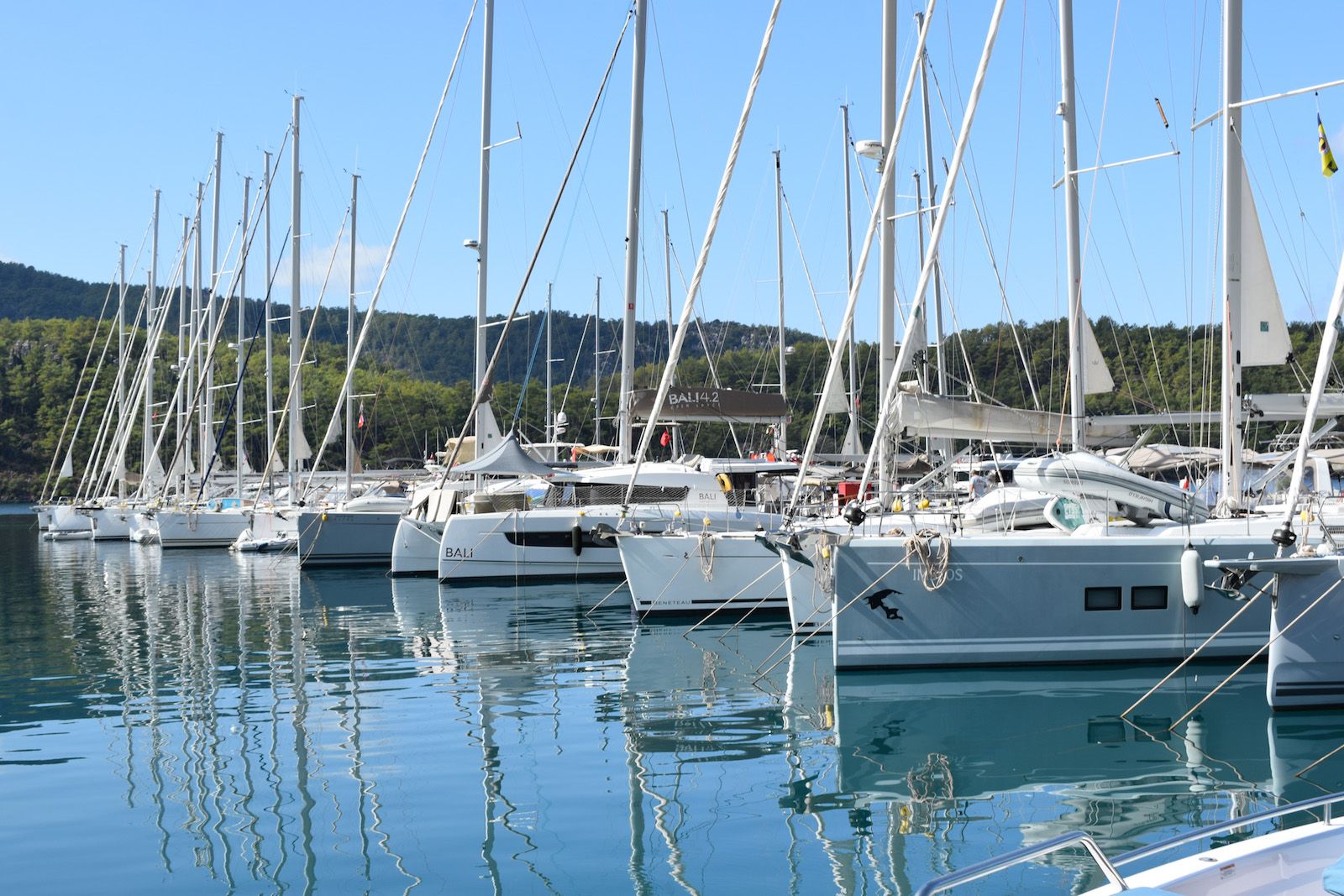 Marti Marina