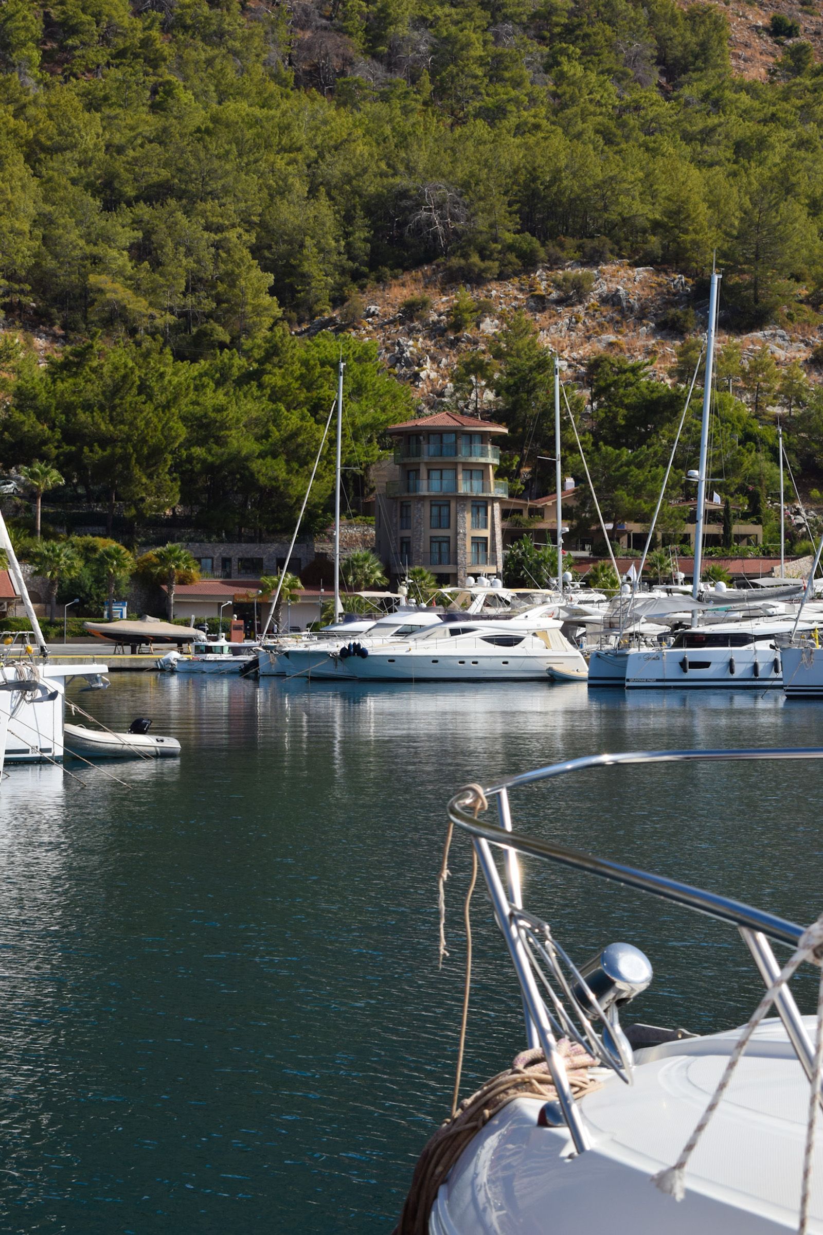 Marti Marina