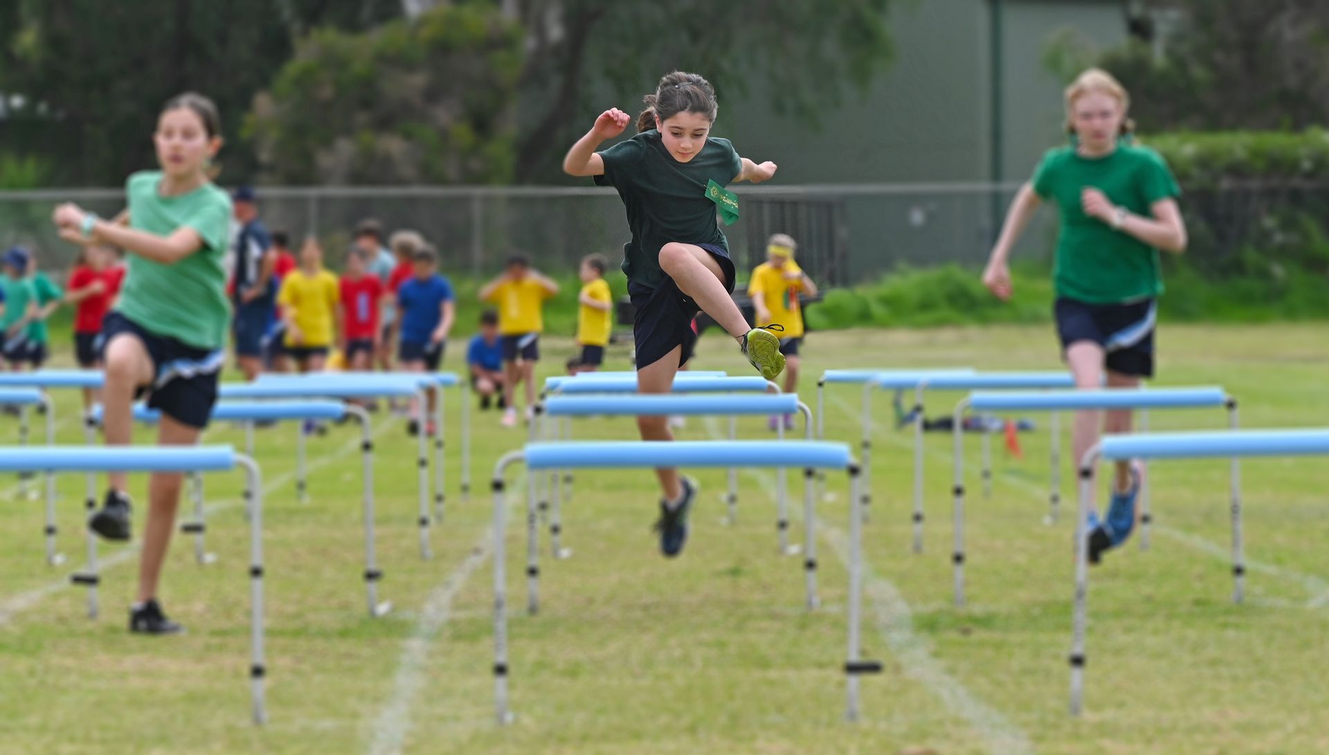 Children racing over hurdles on a grassy field, with a runner in black jumping a blue hurdle in front.