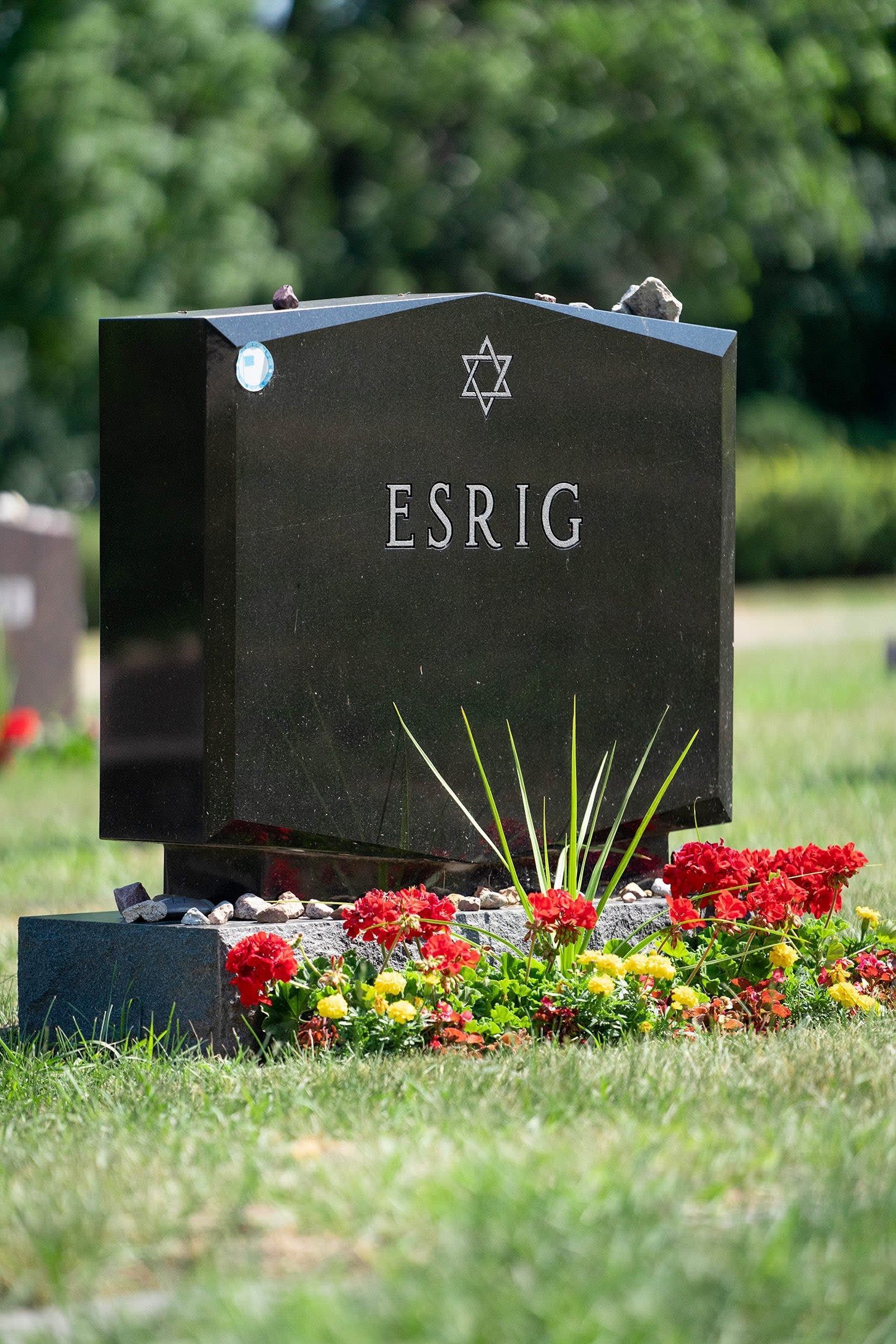 Black gravestone labeled “ESRIC” surrounded by red flowers in a cemetery garden.