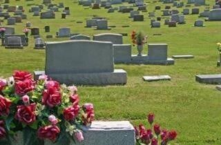 Graveyard with rows of gray headstones on green grass and pink flowers in the foreground