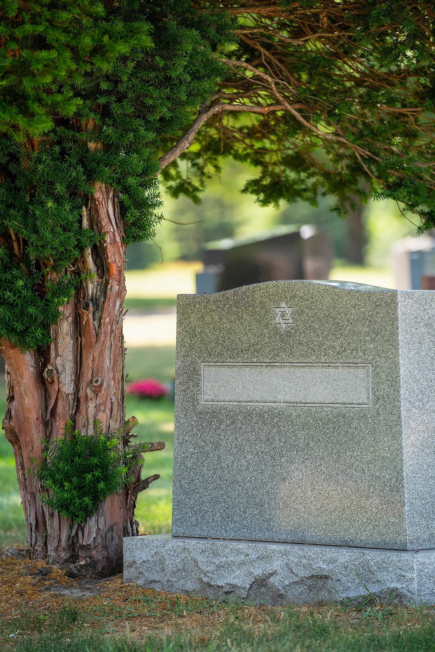 Granite gravestone beside a tree in a cemetery, with blurred headstones in the background