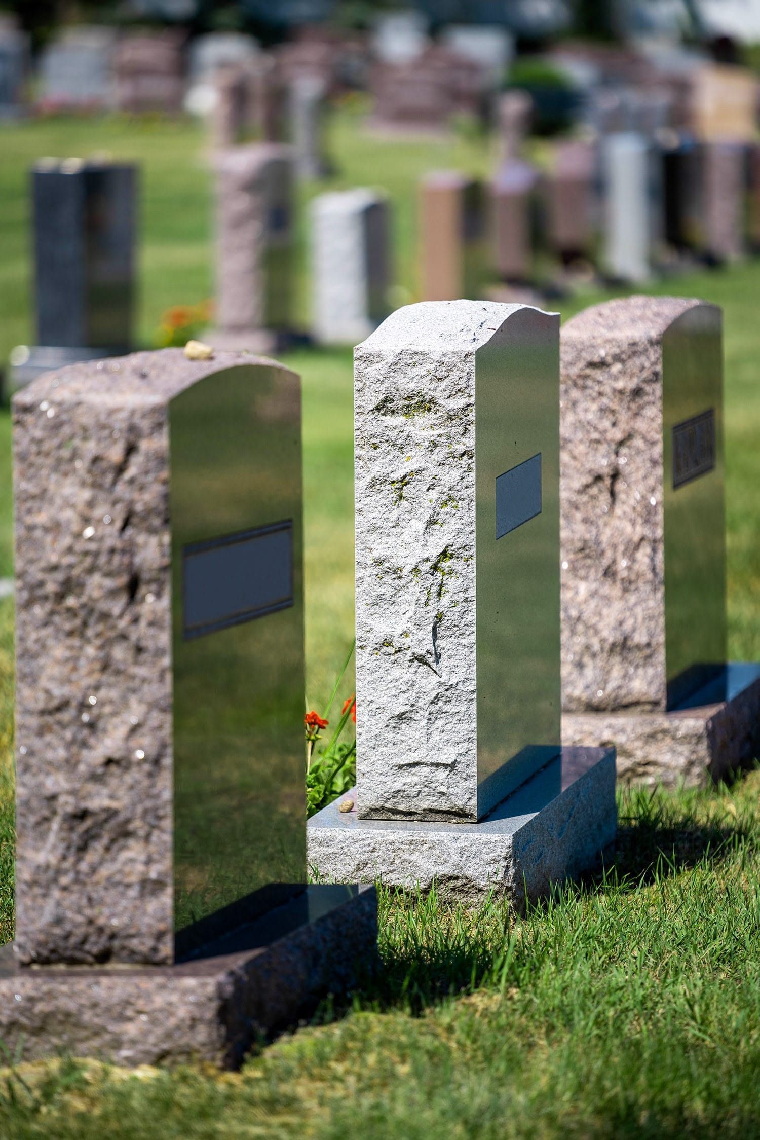 Rows of polished gravestones in a green cemetery, with several upright markers in the foreground