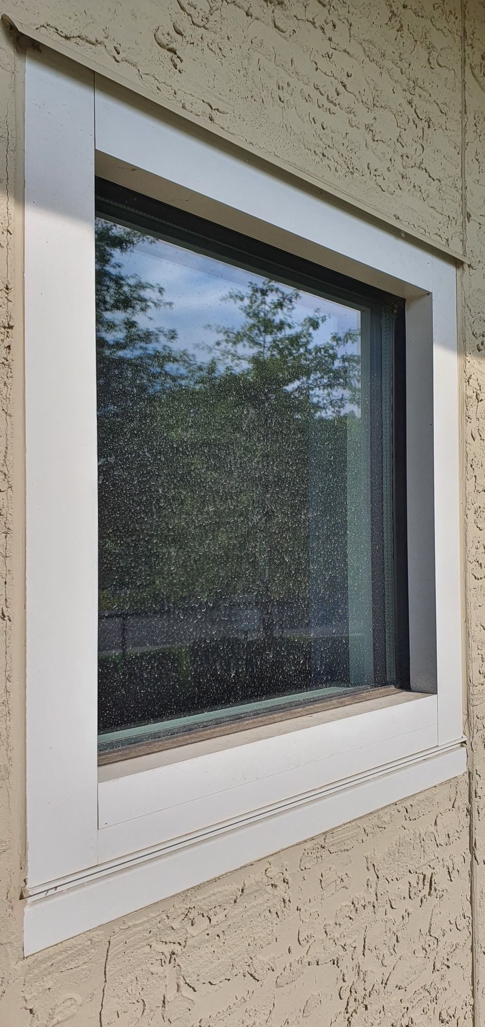 A window with a white frame is on the side of a building.