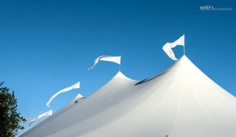 White peaked event tents with flags fluttering against a clear blue sky.