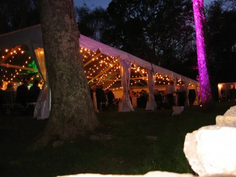 A lit wedding tent at night features string lights, white fabric drapes, and a purple-lit tree in a grassy outdoor setting.