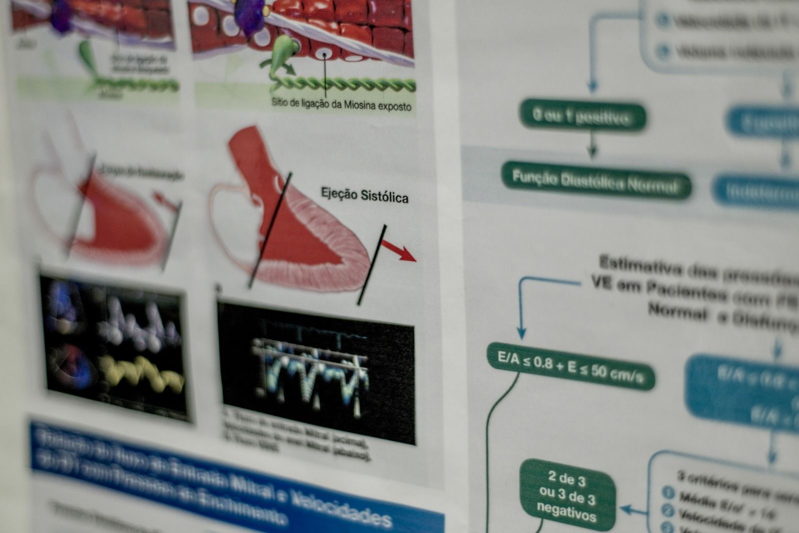 Diagramas médicos mostrando a função cardíaca e os processos de diagnóstico.