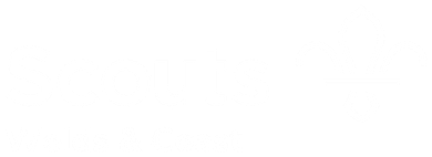 A white background with a few lines on it