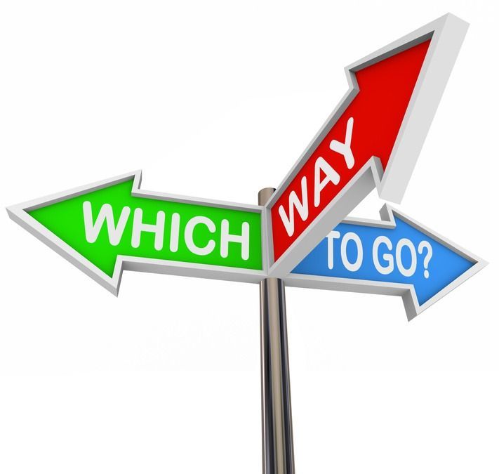 New Lodge Farm Whats on and where to go banner