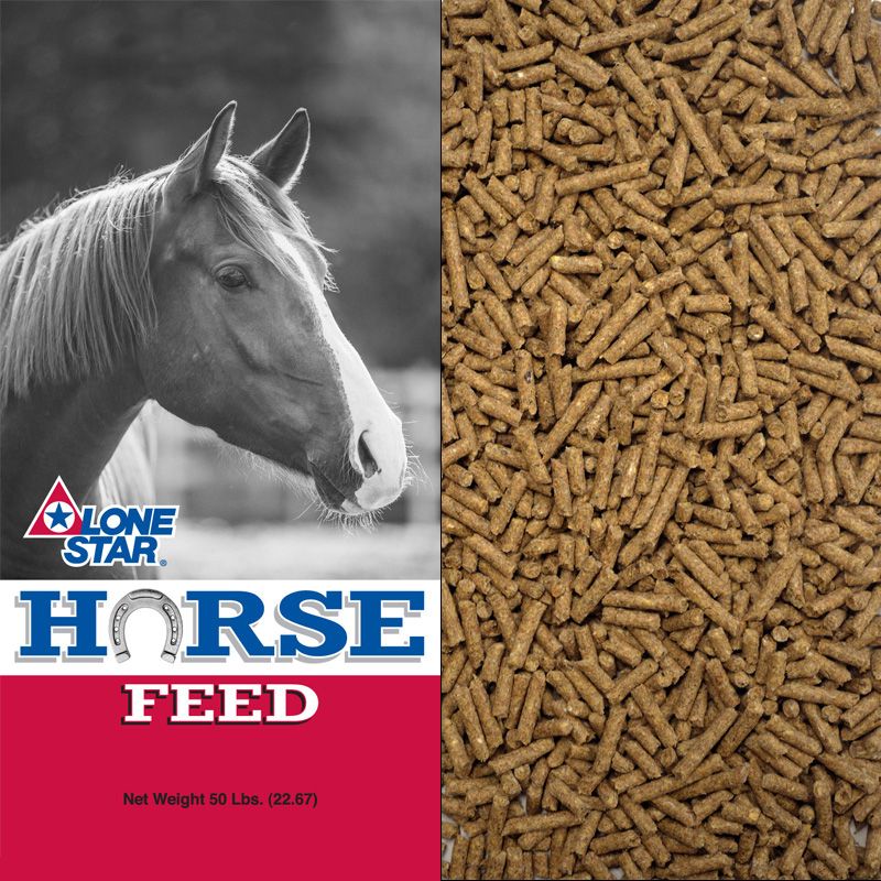 Lone Star Horse Feed bag with horse photo and pellets on the right, red and blue packaging.