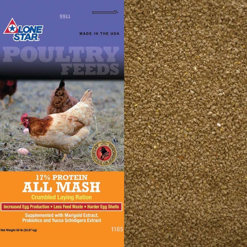 Bag of blue-and-orange poultry feed labeled