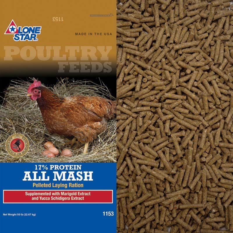 Purina Layena poultry feed bag beside a pile of brown feed pellets, with a chicken pictured on the package