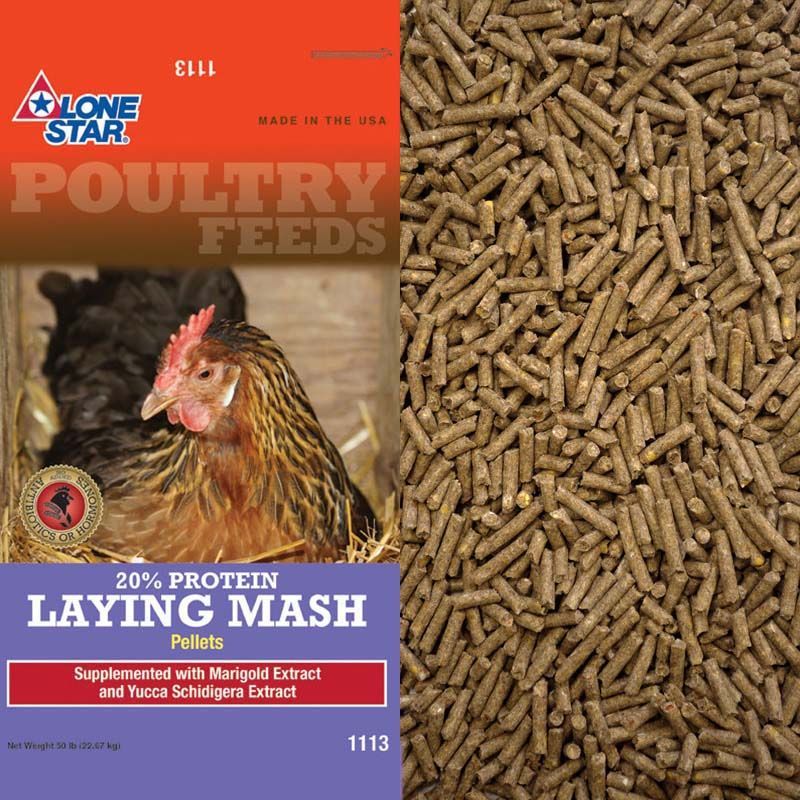 Poultry feed bag with hen photo, labeled Laying Mash Pellets, 20% protein, orange and blue packaging