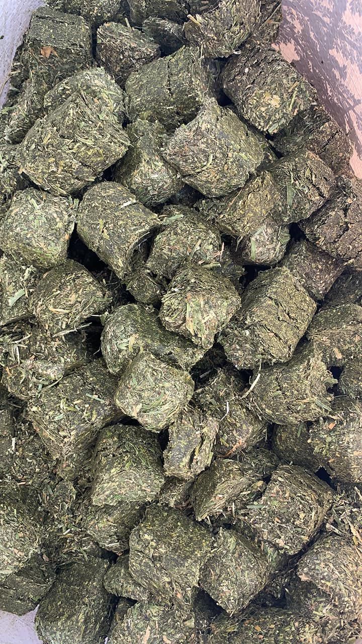Pile of green dried herb buds in a container