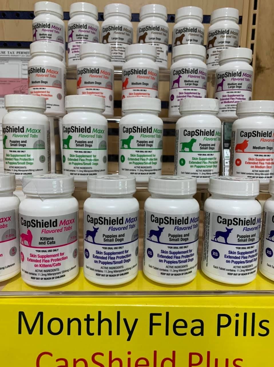Shelf display of CapShield and CanShield monthly flea pills in white bottles with colorful labels
