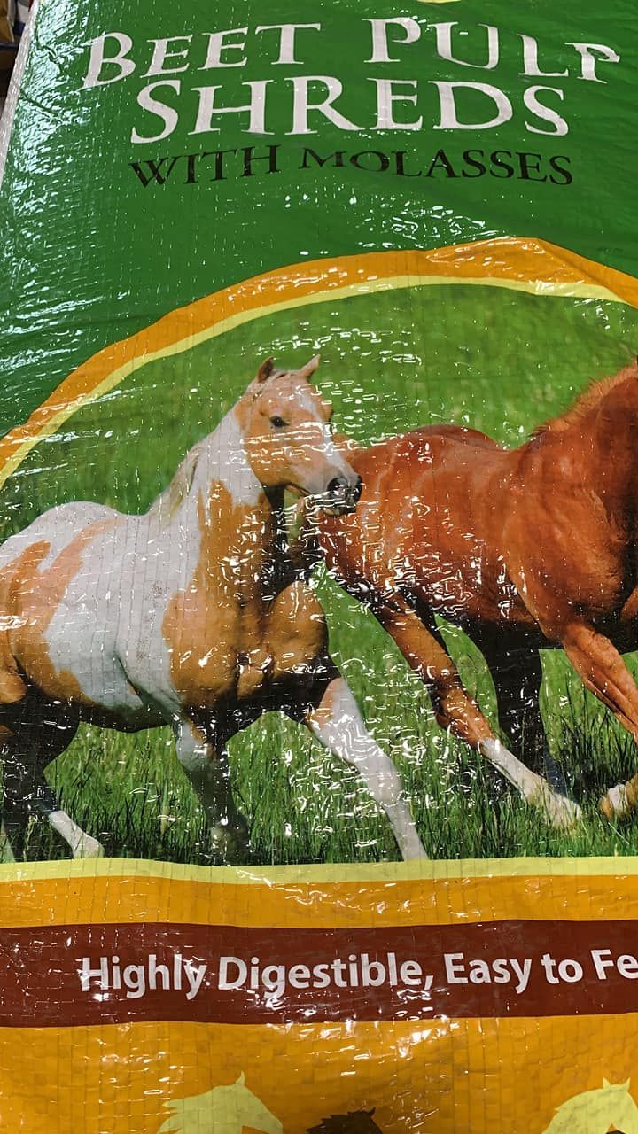 Beet pulp shreds with molasses bag showing horses running on green background