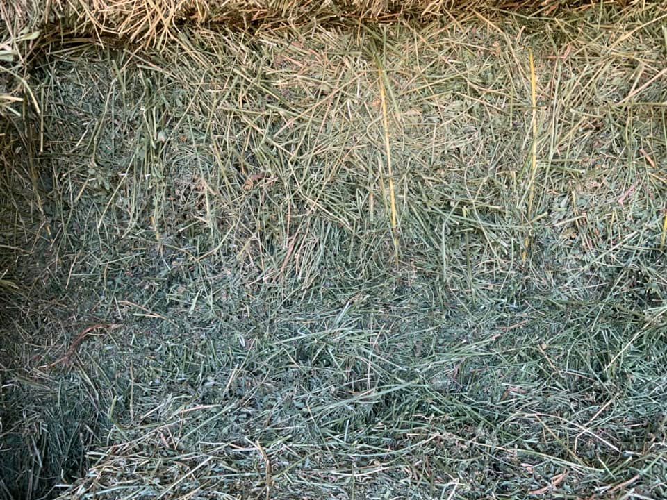 Dry, tangled grass and straw filling the frame in a close-up of a haystack or field floor.