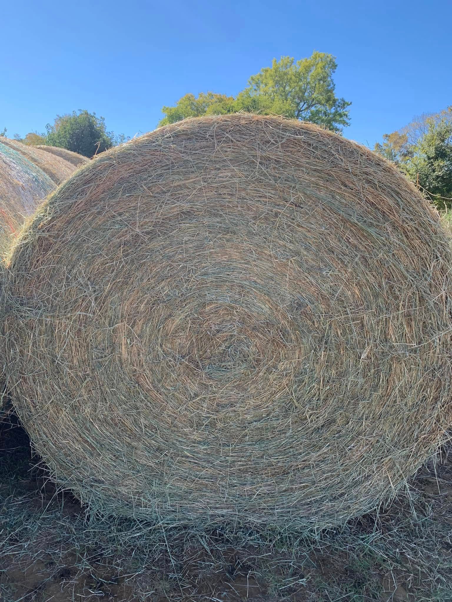 Large rolled hay bale in a field under a blue sky, with trees in the background