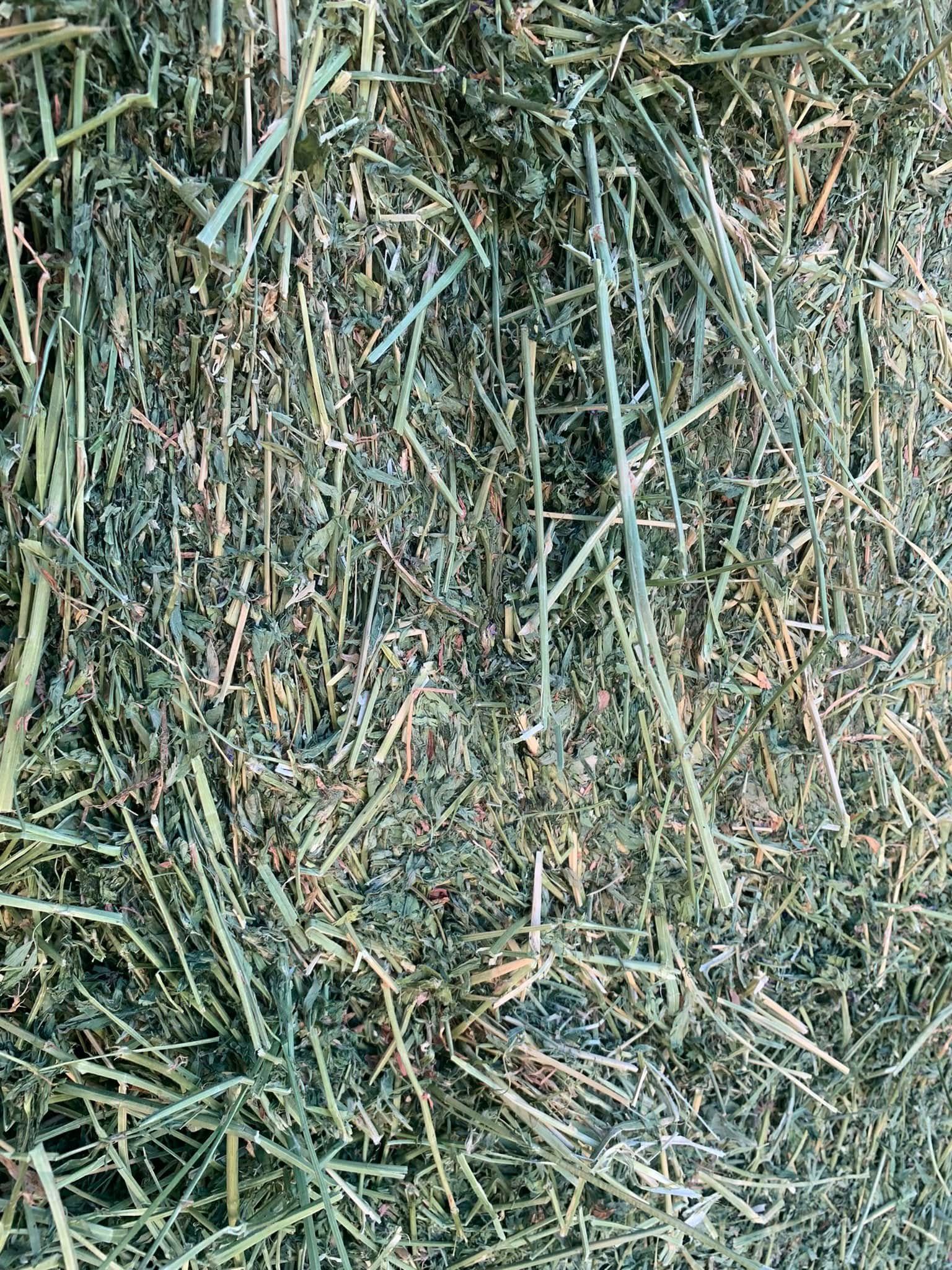 Close-up of dry grass and hay tangled together in a textured brown-green pile