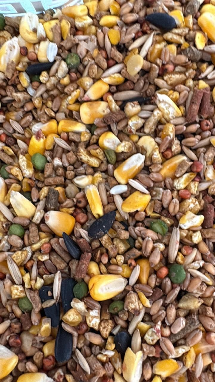 Mixed birdseed with corn, sunflower seeds, and grains in brown, yellow, and tan tones.