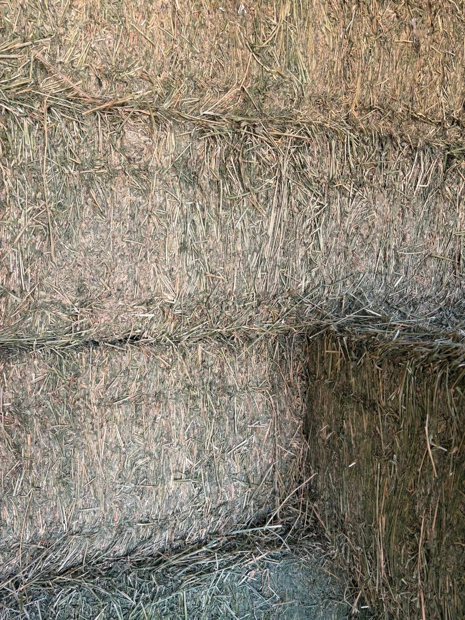 Stacked hay bales forming a corner in a barn, with straw and a dark opening on the right.