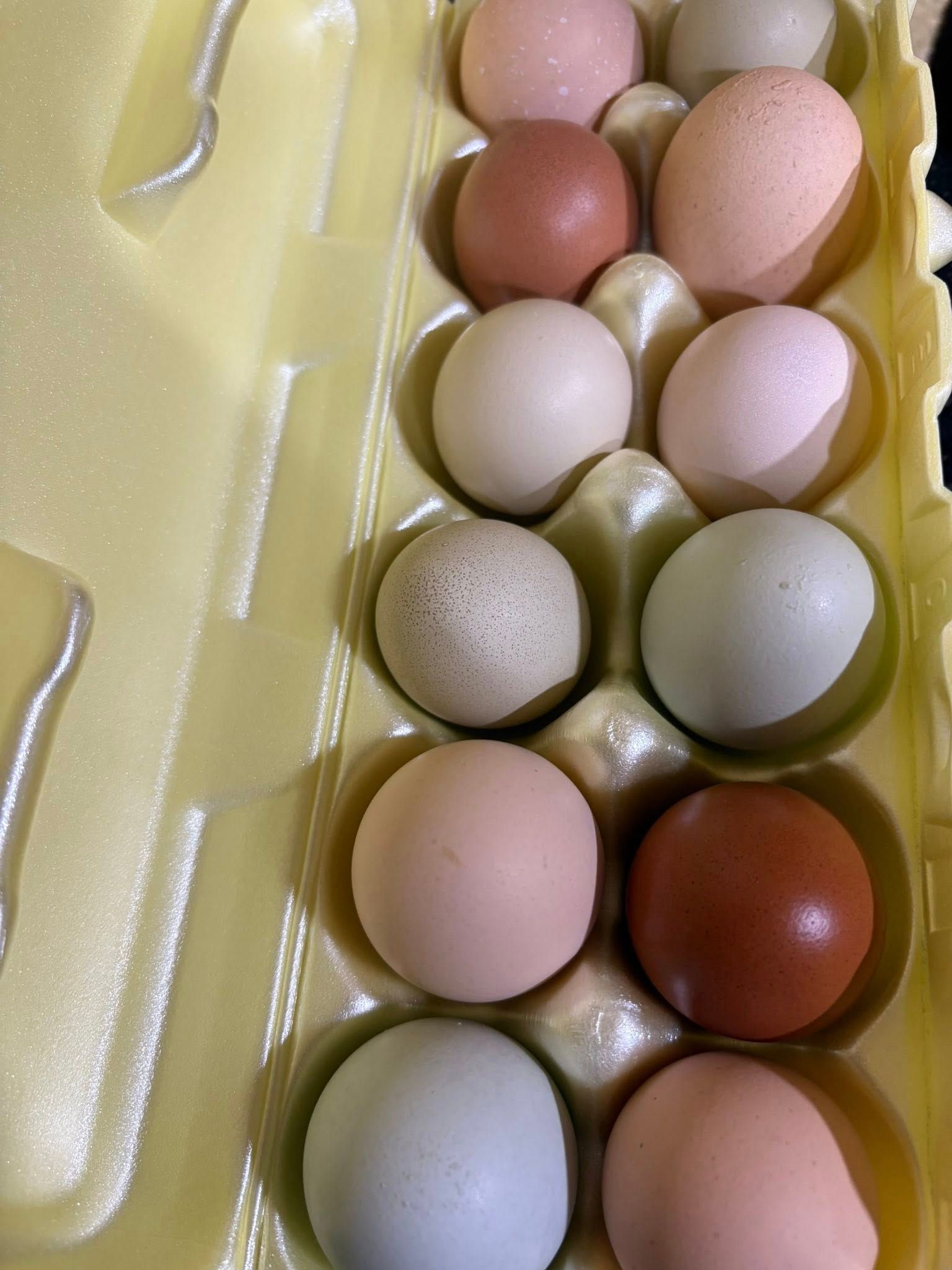 Carton of assorted pastel-colored eggs in a yellow egg tray