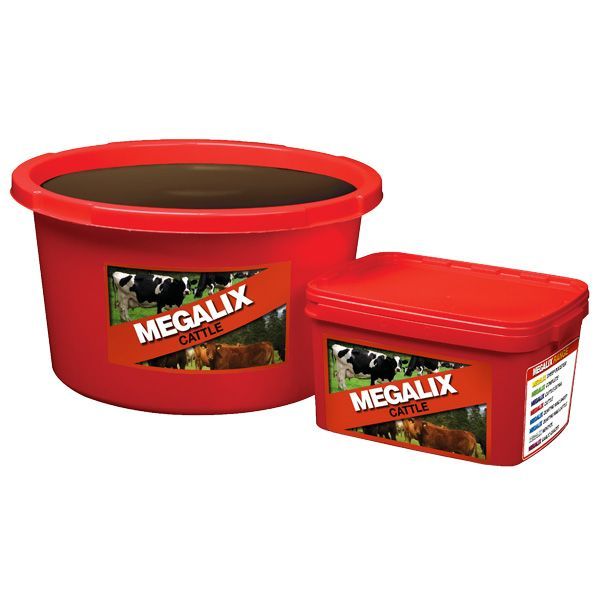 Red Megalix containers: one large open tub and one small rectangular bucket on a white background