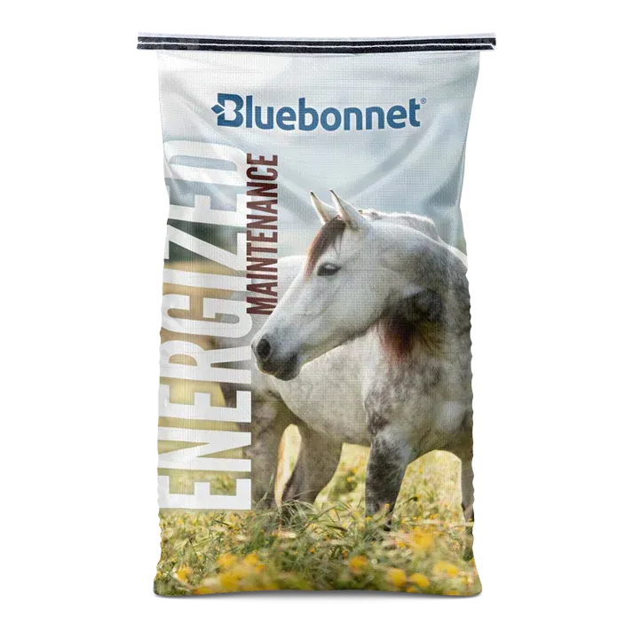 Bluebonnet Energy Maintenance horse feed bag with a white horse on a grassy field background