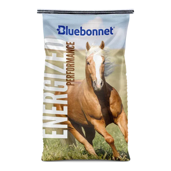 Bluebonnet Energized Performance horse feed bag with galloping horse illustration