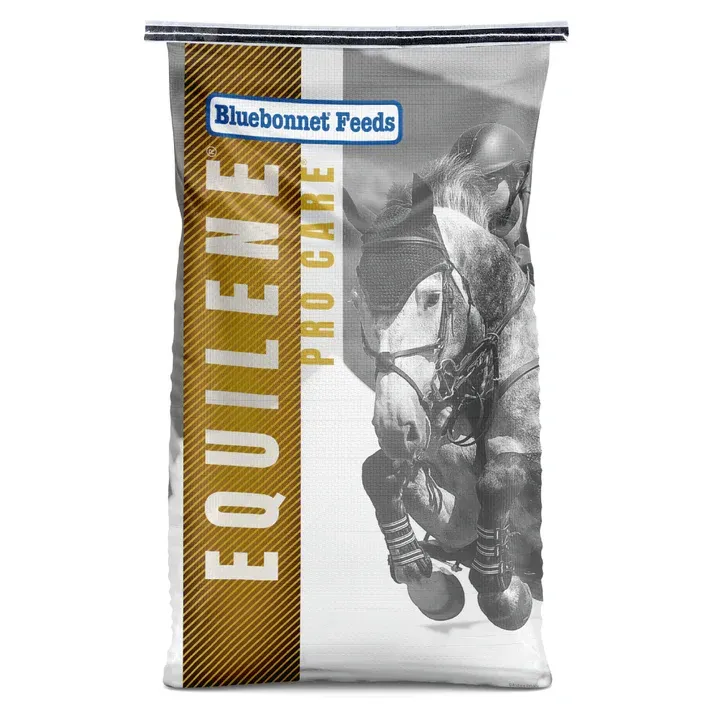 Bluebonnet Feeds Equiline Mule Chill feed bag with horse image, in gold and silver packaging