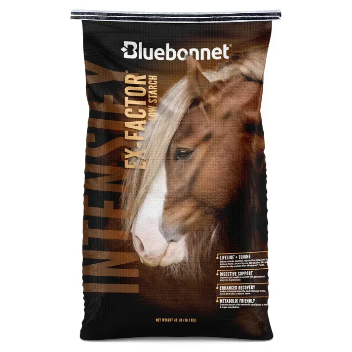 Bluebonnet livestock feed bag with a horse image and bold “Intensify” branding