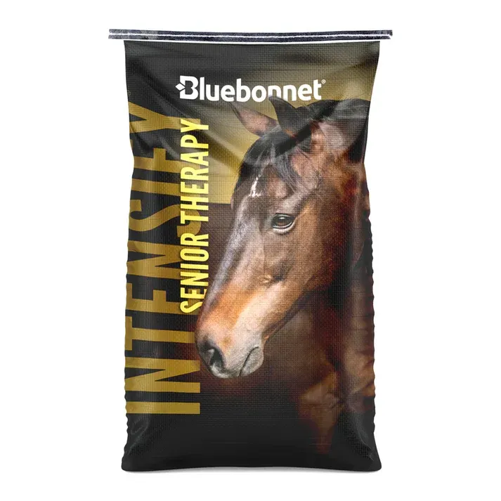 Bluebonnet Intensive Senior Therapy horse feed bag with black and gold packaging and a horse photo