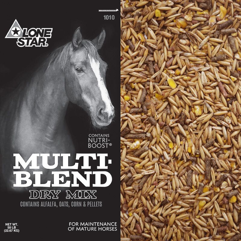 Lone Star Multi-Blend Dry Mix horse feed bag with horse photo and grain close-up side panel