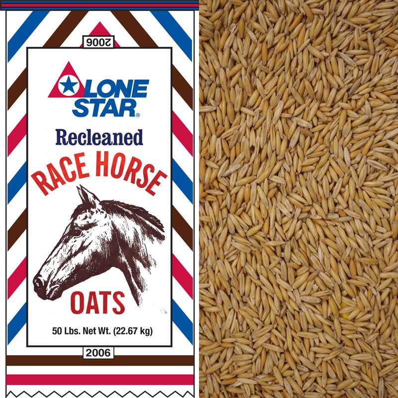 Lone Star Recleaned Race Horse Oats bag beside a pile of oats
