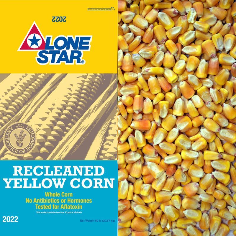 Lone Star 2022 recleaned yellow corn bag with yellow and orange corn kernels shown beside the label