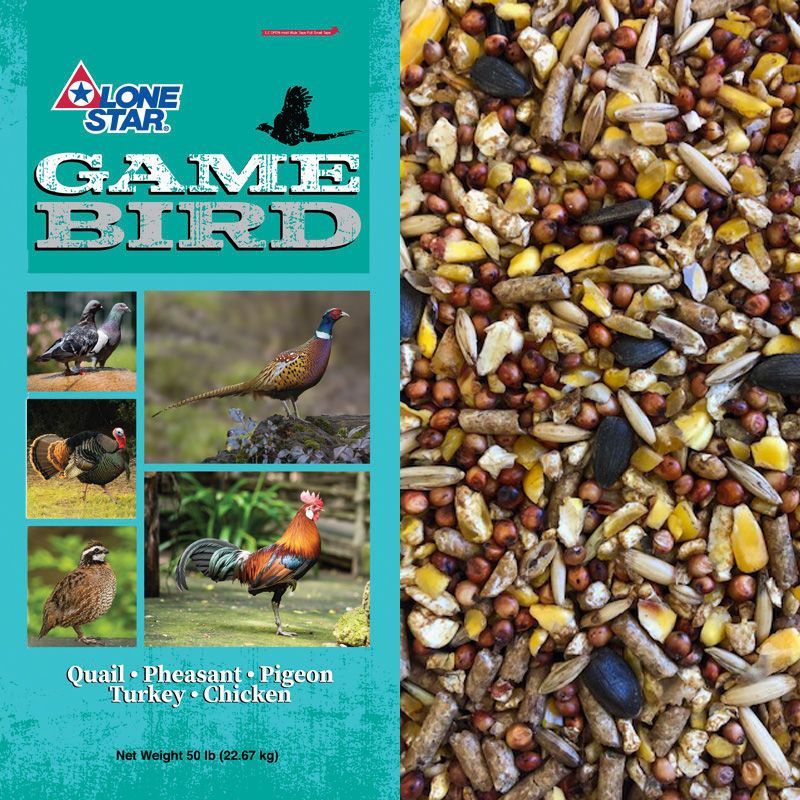 Bag of Lone Star Game Bird feed, teal label with bird photos and mixed seeds visible on right