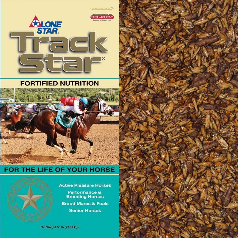 Track Star fortified horse feed bag with horses racing and golden grain background