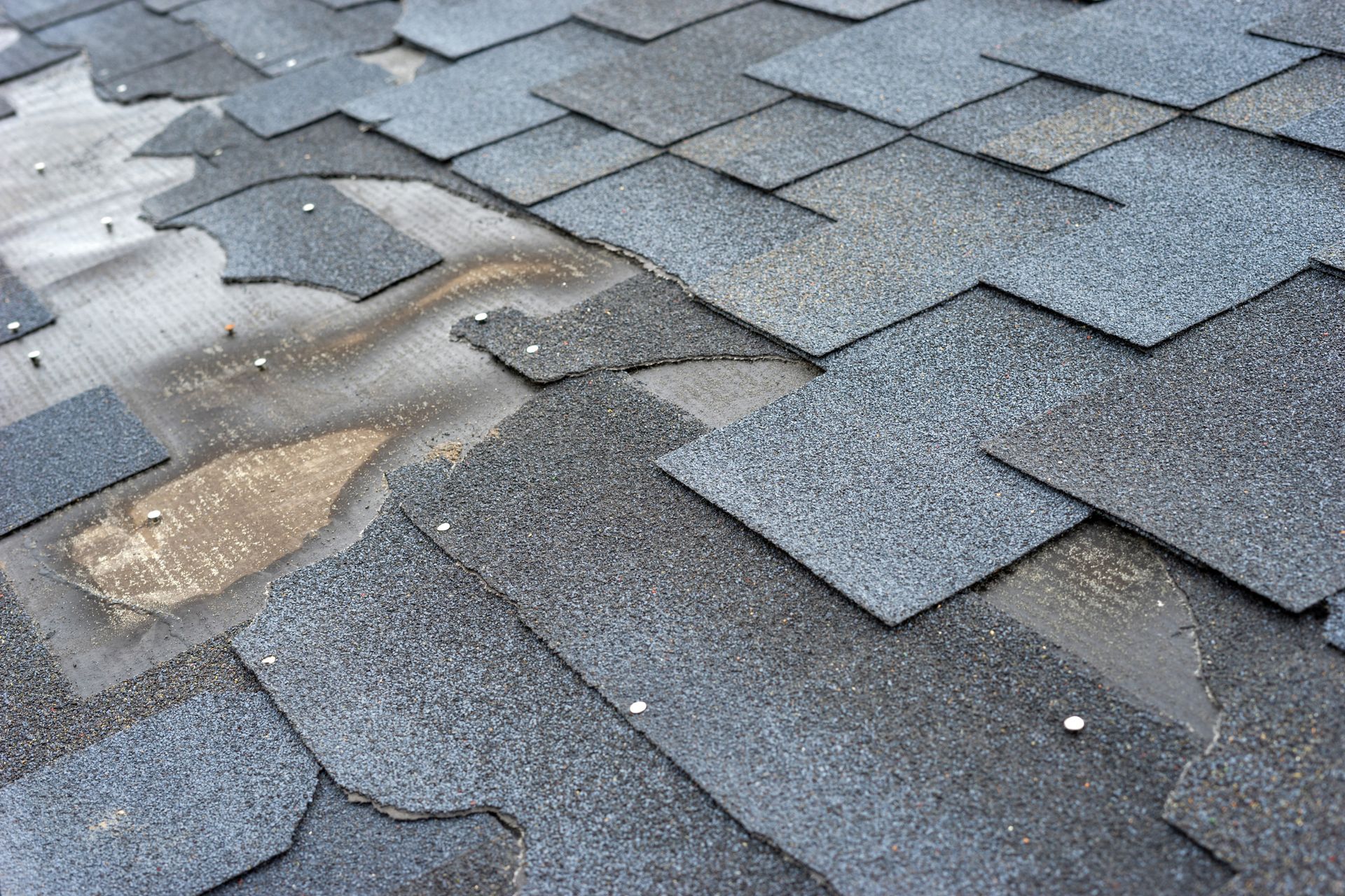 Close-up of storm-damaged asphalt shingles with exposed underlayment.