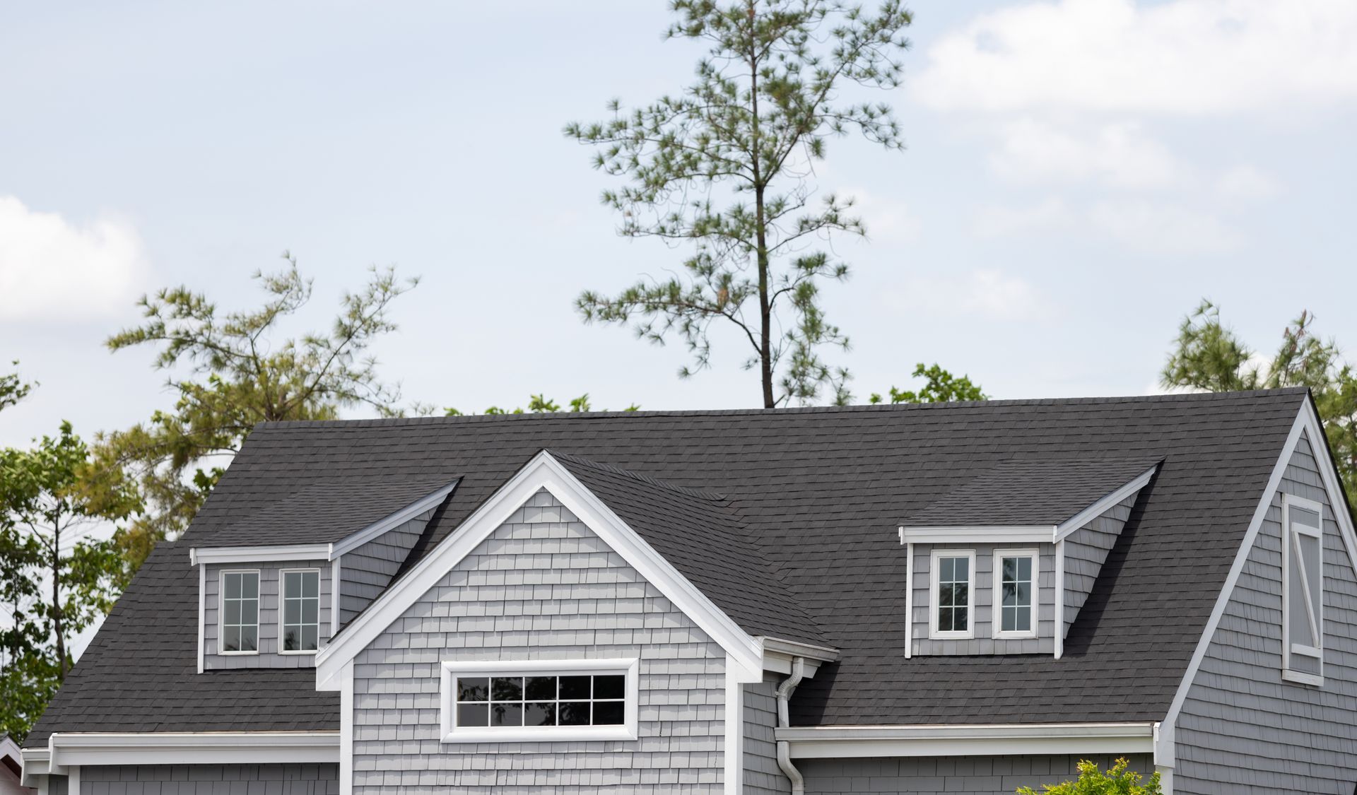 Gray house roof with dormer windows and a tall tree rising behind it under a cloudy sky Gray house roof with dormer windows and a tall tree rising behind it under a cloudy sky