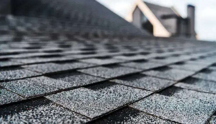 Close-up of weathered gray roof shingles with a blurred rooftop in the background