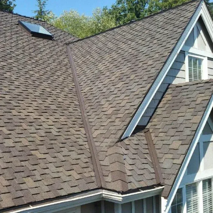 Close-up of a brown shingled house roof with a dormer and skylight under blue sky.