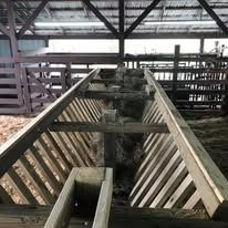 Wooden livestock feeding trough inside a barn.