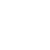 Blank white square image