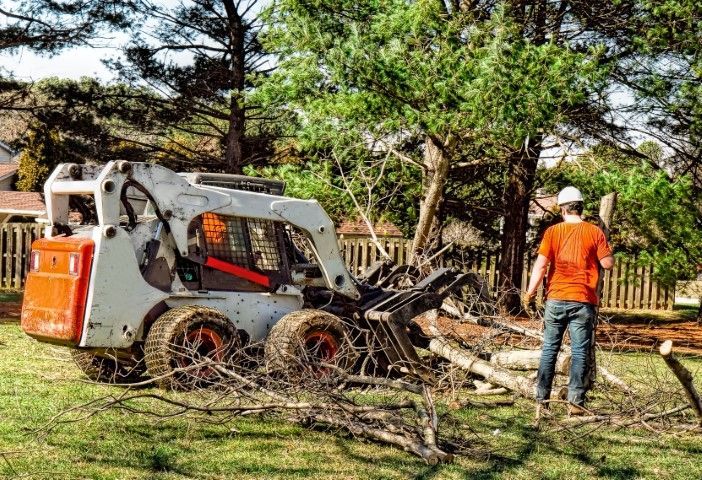 An image of Tree removal in Lower Macungie, Pennsylvania