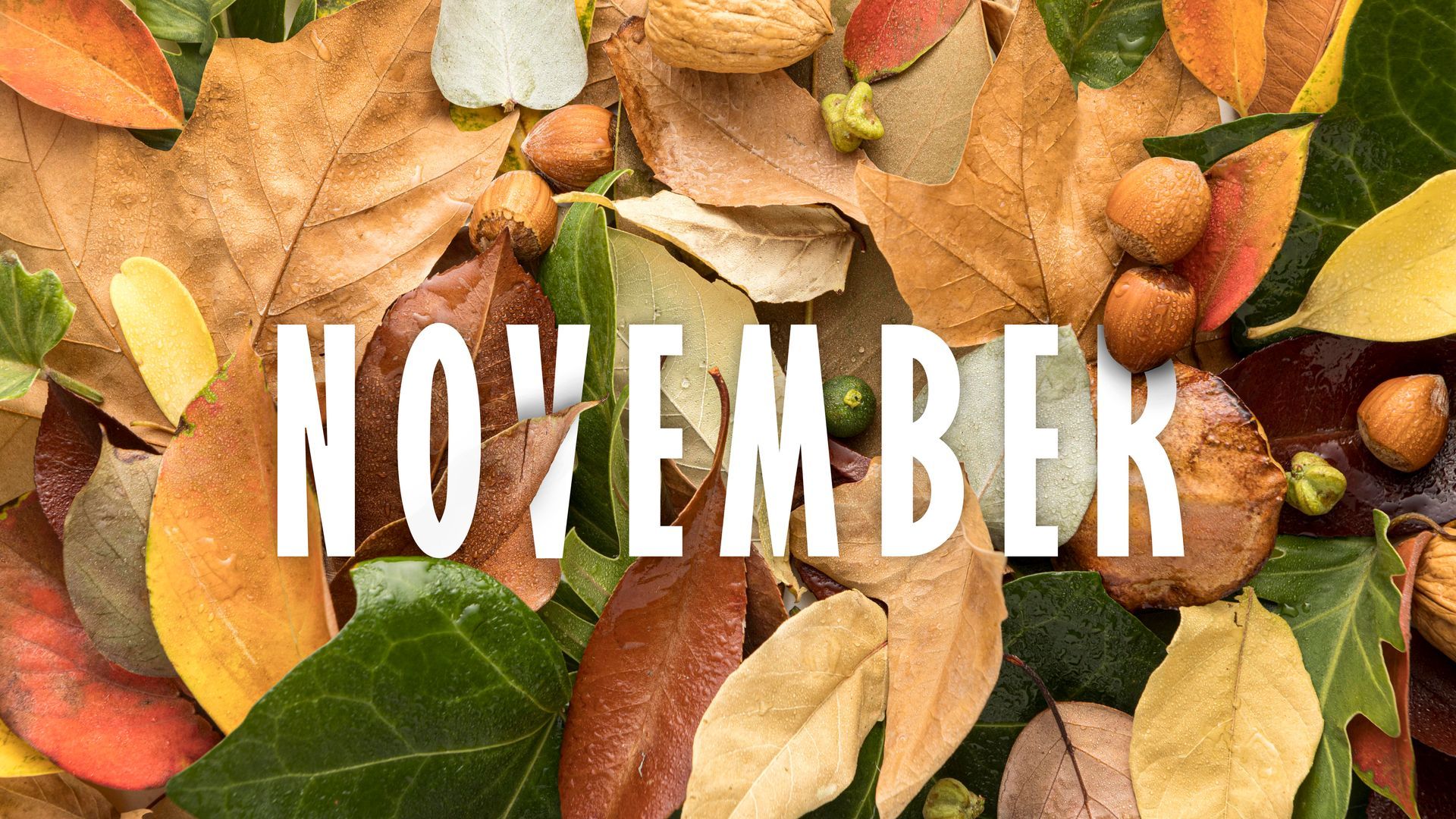 novembre