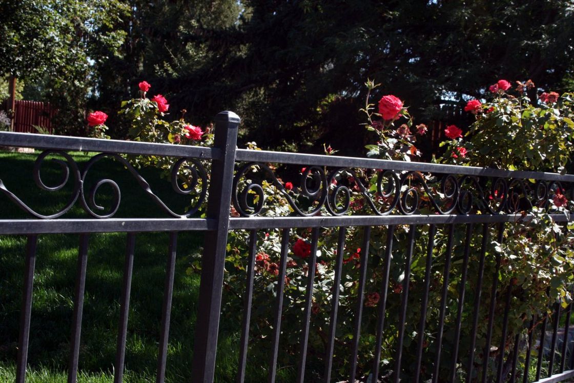 Iron Fence — Sparks, NV — Tholl Fence, Inc.