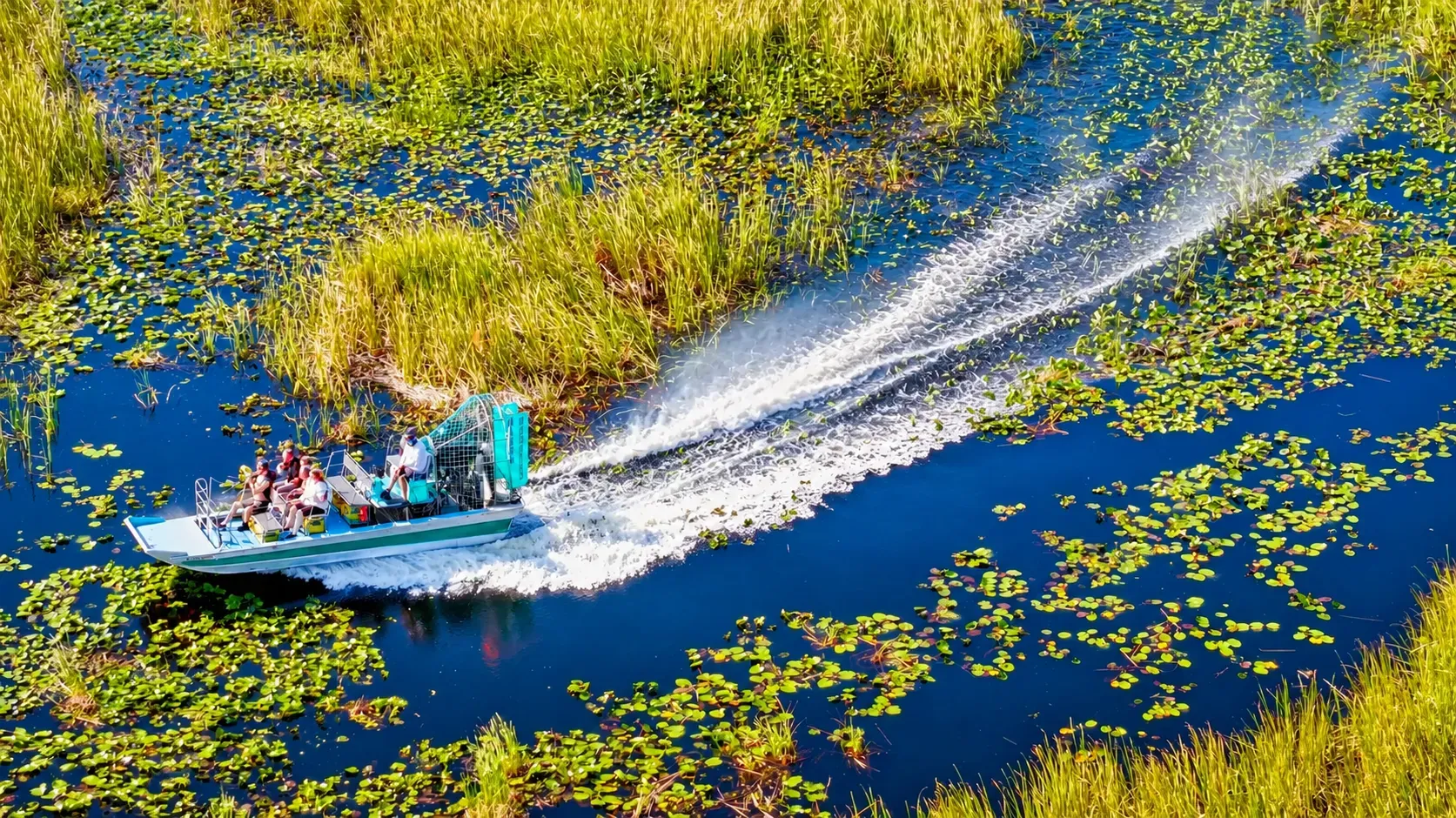 Everglades airboat tour from Miami speeding through the Florida wetlands and lily-covered waterways
